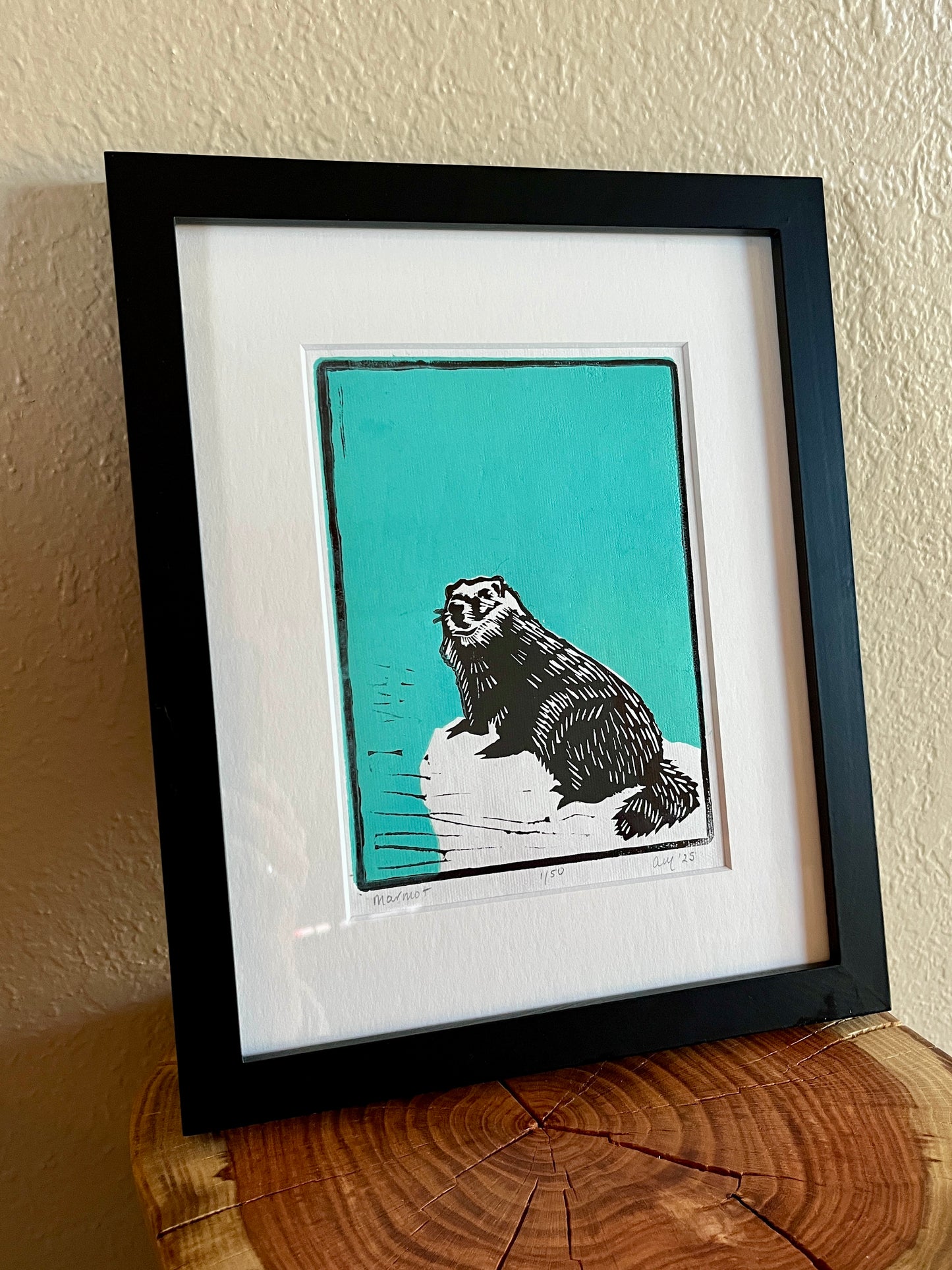 Marmot