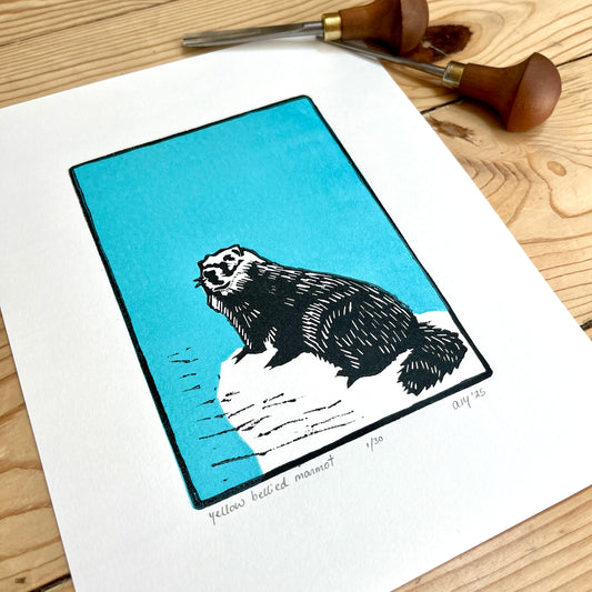 Marmot