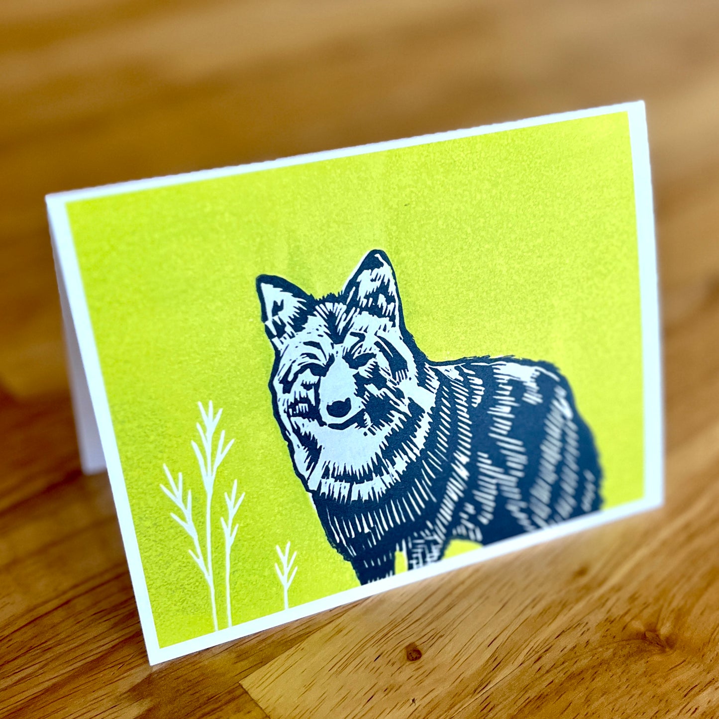 Coyote card