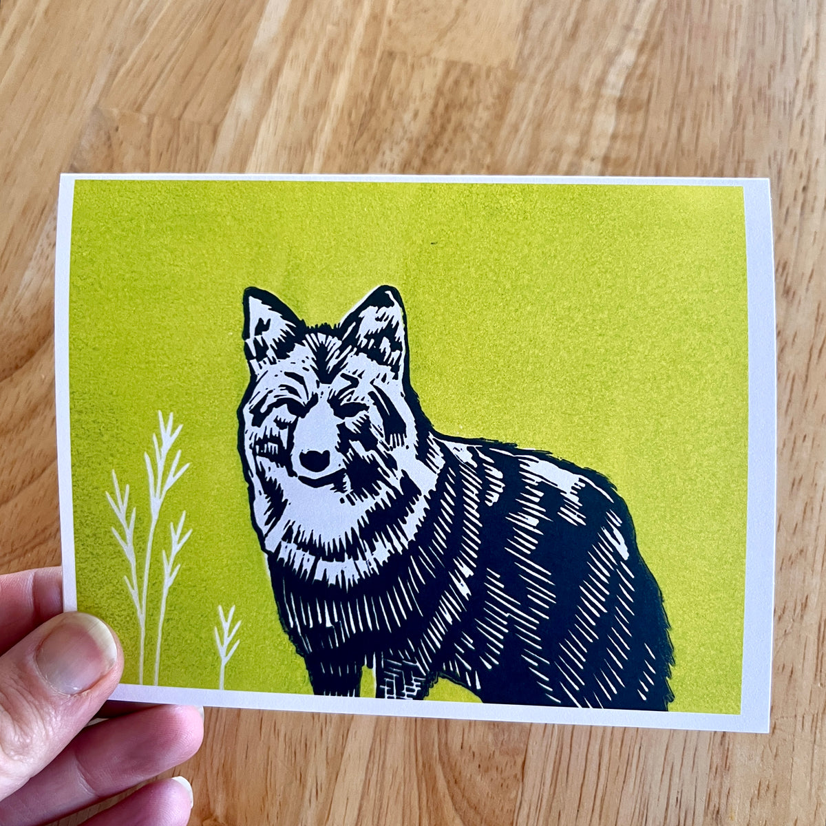Coyote card