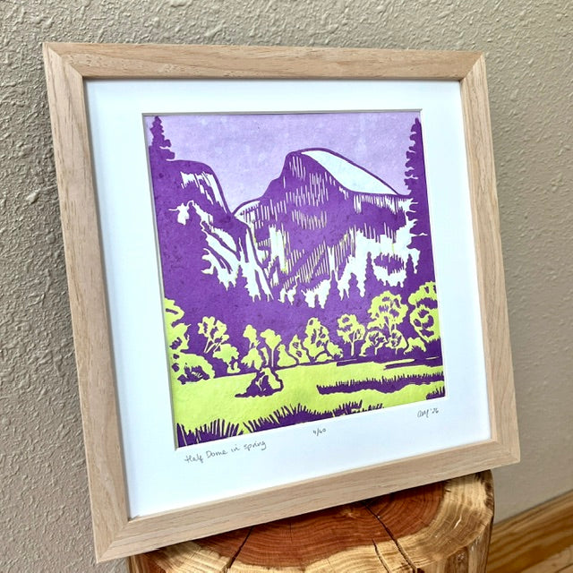 Half Dome in Spring