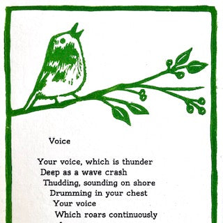 Voice